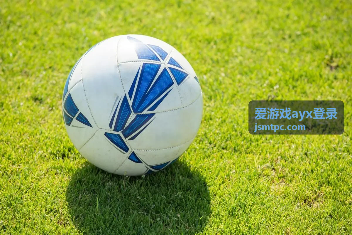 爱游戏ayx登录活动报名表单场景